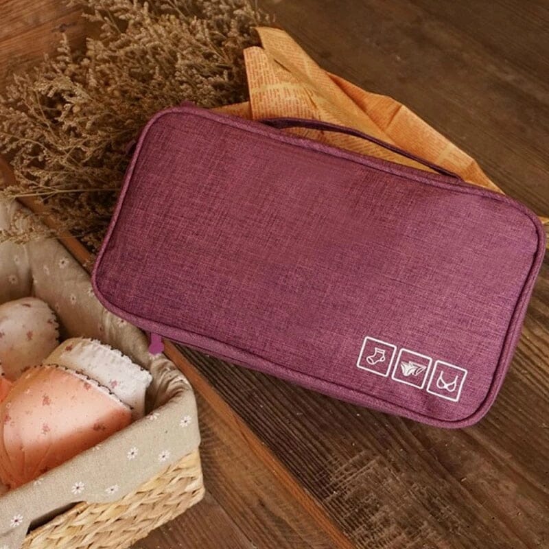 Pochette de Voyage TravelBasics pour Sous-Vêtements (Violet)